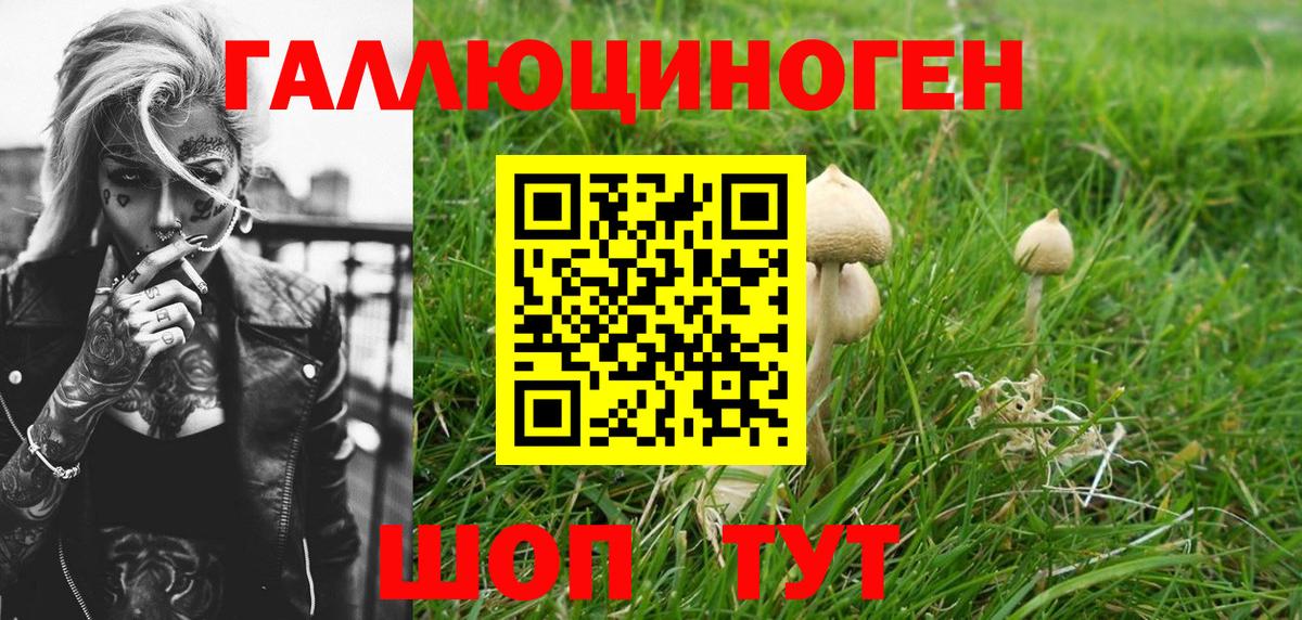 Владимир  Псилоцибиновые грибы мицелий  Вход с VPN 