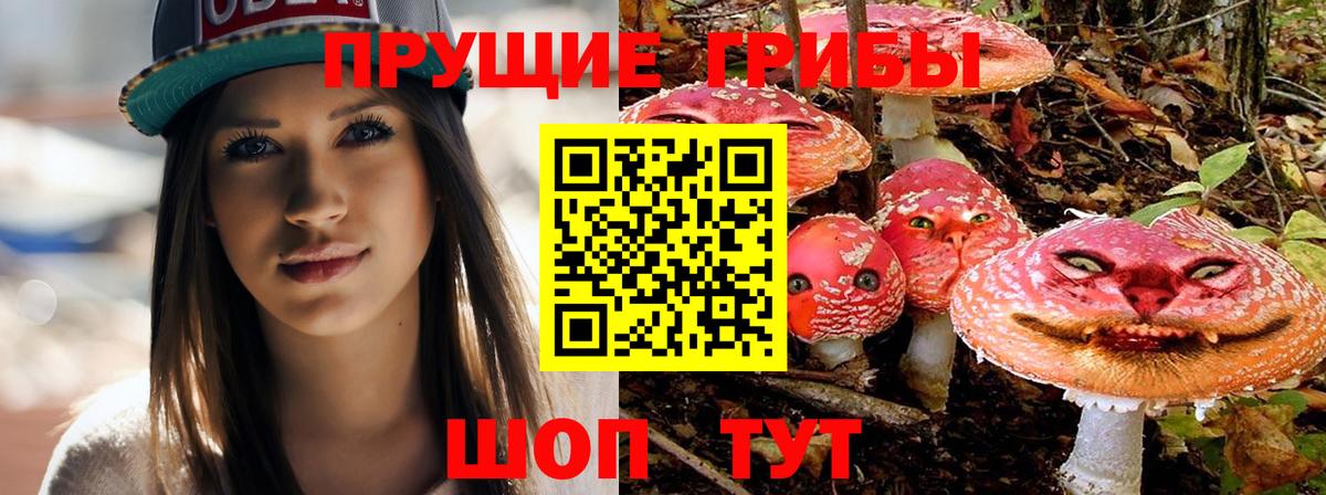Галлюциногенные грибы мицелий Владимир